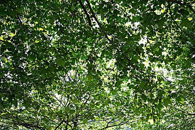 《方舟：大逃杀》登陆PS、XBOX平台，带来惊心动魄的恐龙搏杀体验